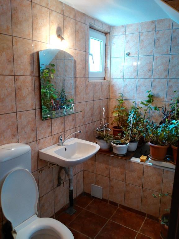 Vila Marcela Busteni Phòng bức ảnh