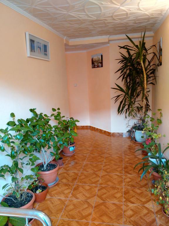 Vila Marcela Busteni Phòng bức ảnh