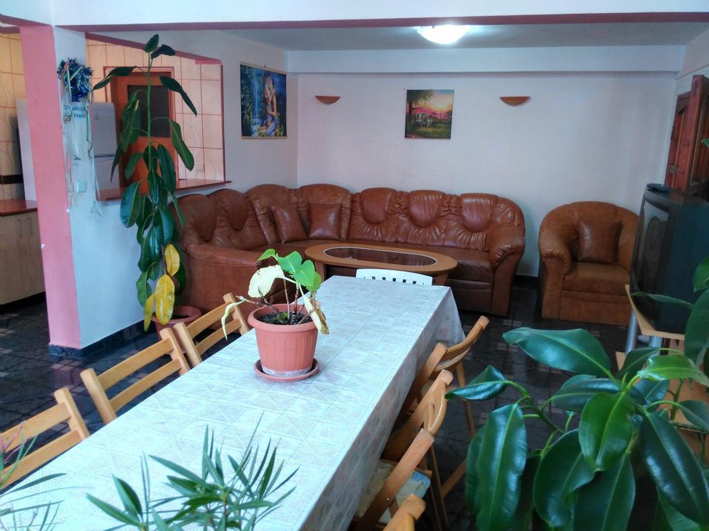 Vila Marcela Busteni Phòng bức ảnh