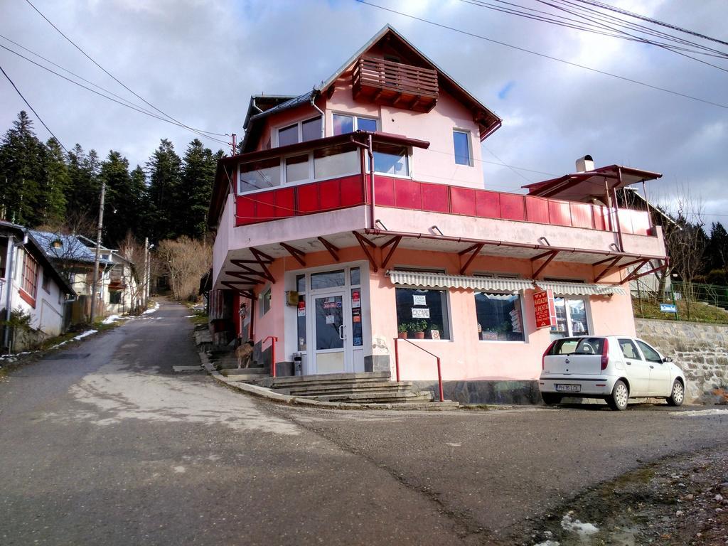 Vila Marcela Busteni Phòng bức ảnh