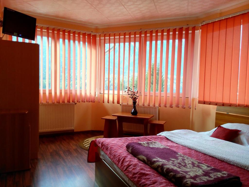 Vila Marcela Busteni Phòng bức ảnh