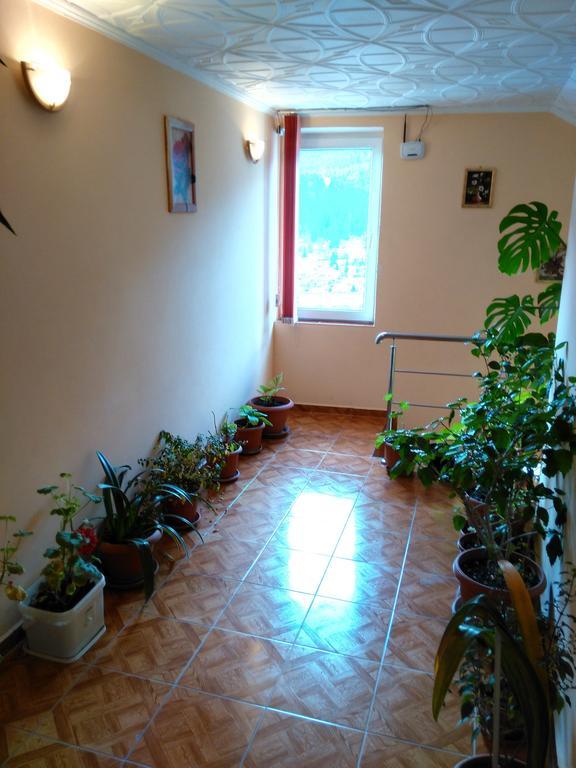 Vila Marcela Busteni Phòng bức ảnh