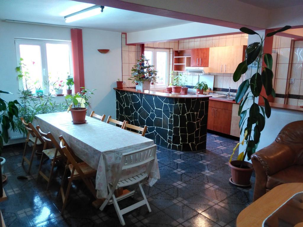 Vila Marcela Busteni Phòng bức ảnh