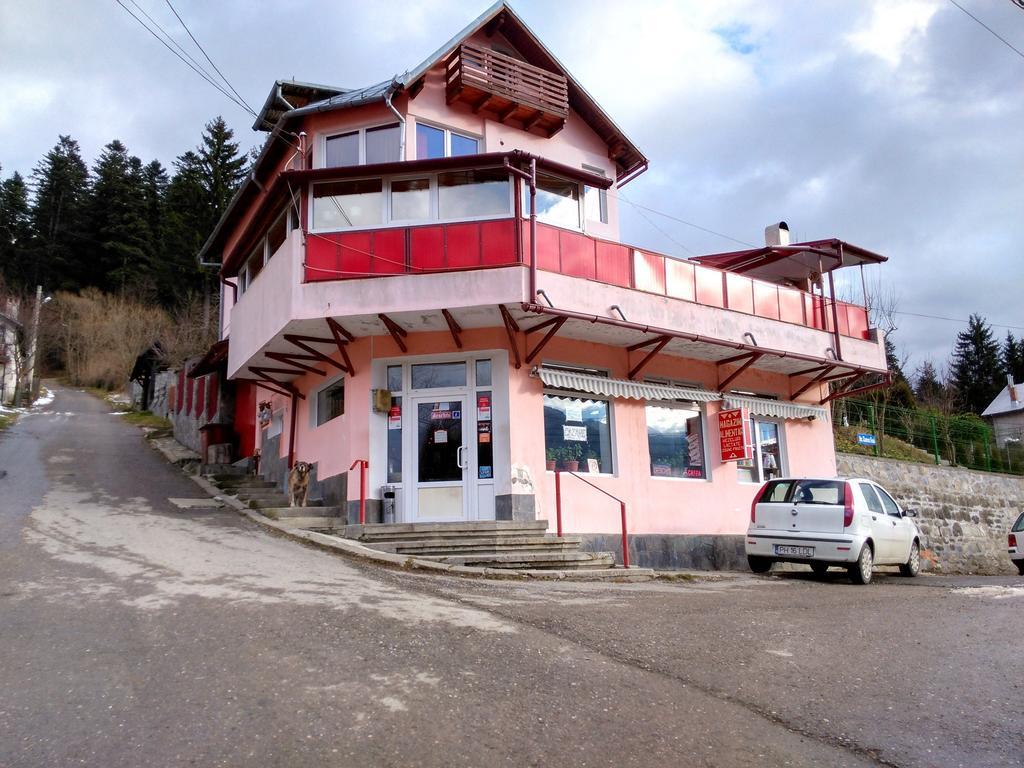 Vila Marcela Busteni Ngoại thất bức ảnh