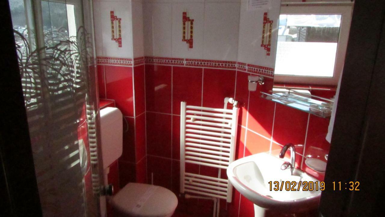 Vila Marcela Busteni Ngoại thất bức ảnh